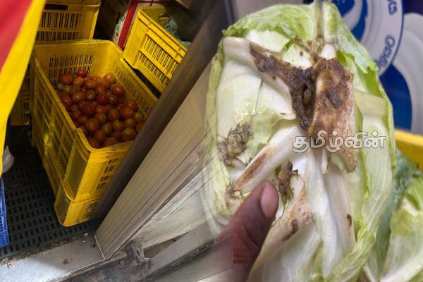 மன்னாரில் காலாவதியான உணவு பொருட்களை காட்சிப்படுத்திய விற்பனை நிலையம் பூட்டு | Popular Outlet Sealed In Mannar