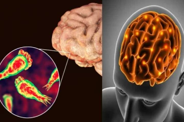 மூளையை தின்னும் அமீபா...அச்சத்தில் மக்கள் - தமிழக அரசு முக்கிய அறிவிப்பு!