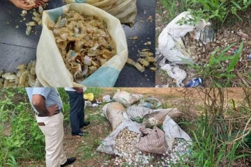 குளத்தில் வீசப்பட்ட பெருமளவு மருந்து குப்பிகள் மீட்பு : விரைந்து செயற்பட்ட அதிகாரிகள்