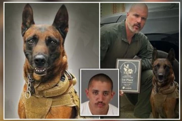 மோப்ப நாயை சுட்டுவிட்டு தப்ப முயன்ற குற்றவாளியை சுட்டுக் கொன்ற பொலிசார்!