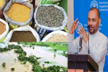 காலநிலை மாற்றத்தால் உணவு தட்டுப்பாடு ஏற்படும் அபாயம் : மாற்று நடவடிக்கைகளுக்கு ஏற்பாடு