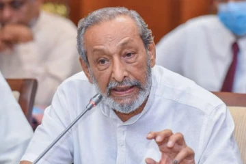 நாங்கள் உருவாக்கிய அரசாங்கம் எங்களை விமர்சிக்கின்றது - வாசுதேவ நாணயக்கார