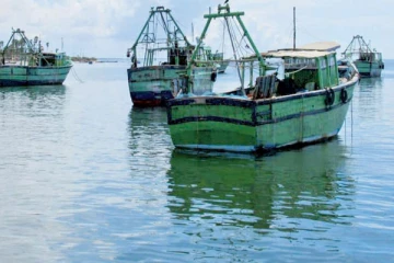 வடமராட்சி கிழக்கில் மிக மோசமாக சுருக்குவலை தொழில்! முன்வைக்கப்படும் குற்றச்சாட்டு