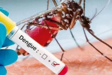 හෙට සිට ඩෙංගු මර්ධන සතියක්..