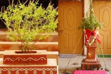 எமபயம் போக்கும் துளசி வளர்ப்பு