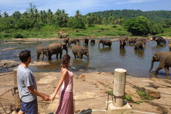 பின்னவலை மிருகக்காட்சிசாலையின் பெயரில் மாற்றம் | Change In Name Of Pinnavala Zoo