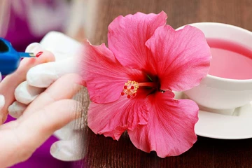 சர்க்கரை நோய்க்கு முற்றுப்புள்ளி வைக்கனுமா? இந்த டீயை ஒரு டம்ளர் குடிங்க போதும்!