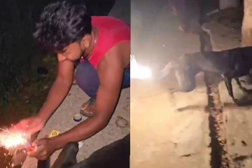 நாய் வாலில் பட்டாசை கட்டி வெடிக்கும் இளைஞர்.., பதைபதைக்கும் வீடியோ