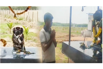 இறந்து போன நாய்க்கு சிலை வைத்து சாமியாக வணங்கி வரும் நபர் - நெகிழ்ச்சி சம்பவம்