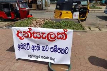 ஜனாதிபதிக்கு ஆதரவான பேரணி மீது கல் வீசிய நபர் கைது