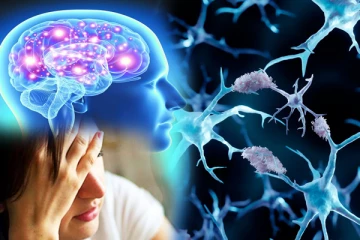 முதன்முறையாக கண்டுபிடிக்கப்பட்ட அல்சைமர் நோயின் மரபணு