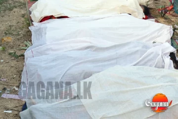 විෂ මත්පැන් පානය කිරීමෙන් 11ක් මරුට