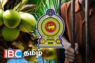 தென்னை மரங்களை வெட்டுபவர்களுக்கு சிறை - விடுக்கப்பட்ட எச்சரிக்கை