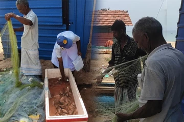 காத்தான்குடி கடலில் பெருமளவிலான சூரை மீன்கள் பிடிப்பு