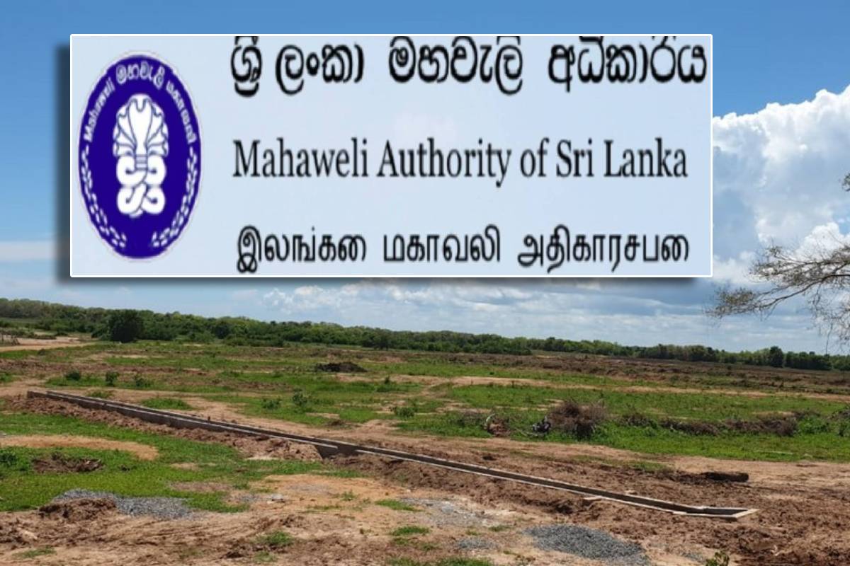 இலங்கைக்குள் வரப்போகும் விடுதலைப் புலிகளின் கறுப்புப் பணம் : எச்சரிக்கும் விமல் வீரவன்ச! | Door Opened For Ltte Black Money To Enter Srilanka