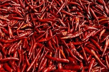 இறக்குமதி செய்யப்பட்ட மிளகாயில் புற்றுநோய்!