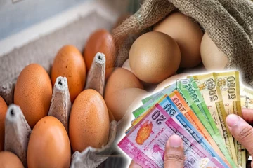 முட்டை விலை தொடர்பில் வெளியான அறிவிப்பு