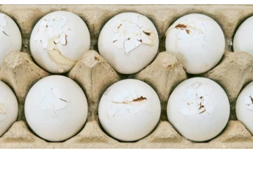 உடைந்த முட்டைகளைச் சாப்பிட்டுறீங்களா? மரணம் கூட ஏற்பட வாய்ப்பு இருக்கு- மருத்துவர்கள் எச்சரிக்கை!