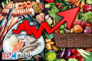 பெங்கல் புயலின் எதிரொலி : உச்சம் தொட்ட மீன்களின் விலை