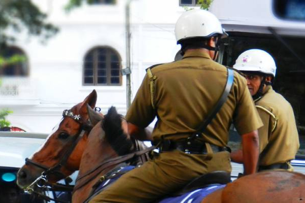 இலங்கையில் பரிதாபமாக உயிரிழந்த குதிரைகள்: வெளியான அதிர்ச்சி காரணம் | 7 Police Horses Died Due Lack Of Food In Sri Lanka