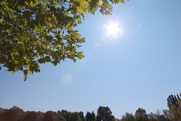கனடாவின் பல பகுதிகளுக்கு விடுக்கப்பட்டுள்ள எச்சரிக்கை | Heat And Air Quality Warnings Are Active