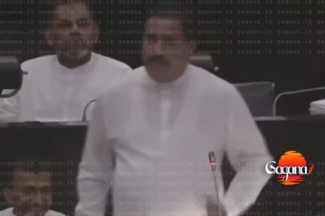 බලය ලබාගන්න හොඳම අවිය බොරුව ඒත් අපි නැගිටිද්දී අපේ ගෙවලුත් ගිනි තියලා - රෝහිත