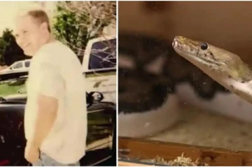 124 பாம்புகளை செல்லப்பிராணிகளாக வளர்த்த நபர்: பாம்பு கடித்ததில் நேர்ந்த பரிதாப கதி!