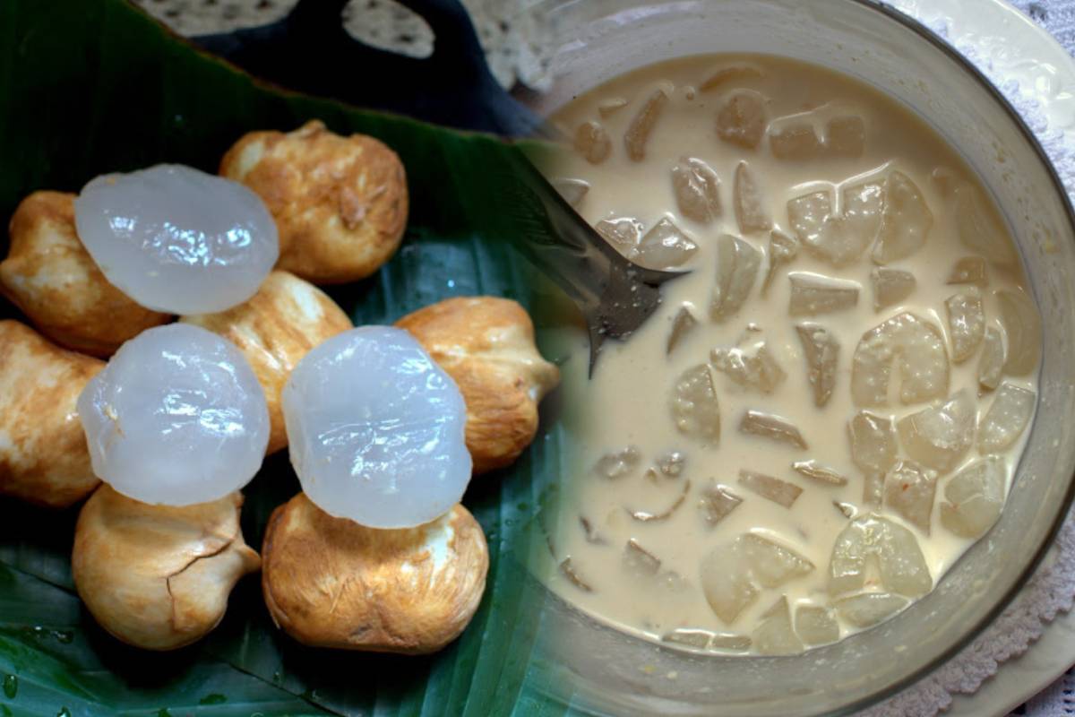 தித்திக்கும் சுவையில் நுங்கு பால்.., எப்படி செய்வது? | Nungu Paal Recipe In Tamil