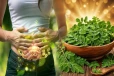 தினமும் முருங்கை இலை மென்று சாப்பிட்டால் கிடைக்கும் அற்புத நன்மைகள்! என்னென்ன தெரியுமா?