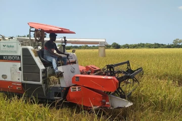 எரிபொருள் பிரச்சினையை எதிர்நோக்கும் கிளிநொச்சி விவசாயிகள்(Photos)