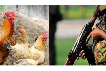 கோழிகளை திருடிய இராணுவ சிப்பாய் கைது