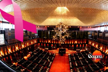 අද පාර්ලිමේන්තු එන මන්ත්රීවරියන්ට රෝස පාටින් අදින්න නියෝග