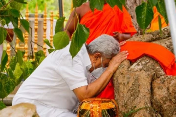 புனித வெள்ளரசு மரத்தை வழிப்பட்ட ஜனாதிபதி