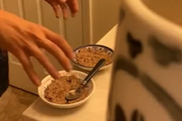 பிரியாணி வாசத்தில் பறந்து வந்த பூனை! இறுதியில் காத்திருந்த ஏமாற்றம்...அப்படி என்ன நடந்தது?