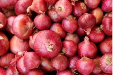 கட்டாயம் உணவில் இதை சேர்த்து கொள்ளுங்கள்! சின்ன வெங்காயத்தில் கொட்டி கிடைக்கும் நன்மைகள்