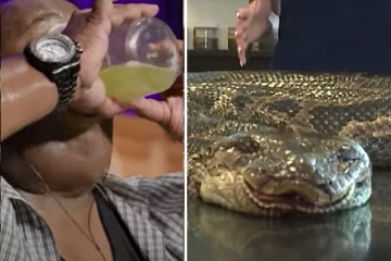 ஒரு லிட்டர் சோடாவை 6.8 விநாடிகளில் குடித்து சாதனை படைத்த நபர்.. அதிக எடையுடன் கூடிய பர்மீஸ் மலைப்பாம்பு கண்டுபிடிப்பு! வினோத உலகம்