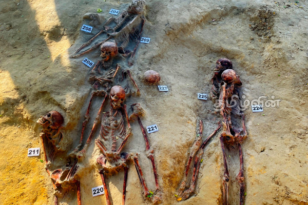 செம்மணியில் குவியல் குவியலாக மீட்கப்படும் என்பு கூடுகள் | Chemmani Mass Graves In Sri Lanka Updates Today