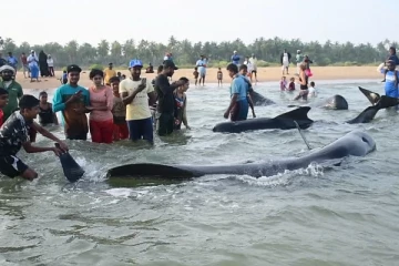 புத்தளம் கற்பிட்டிகடற்கரைக்கு படையெடுத்த மக்கள் !