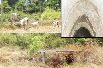 கடும் வறட்சியினால் மட்டக்களப்பு மக்கள் குடிநீரின்றி தவிக்கும் அவலம்(Video)