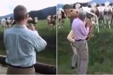 “எங்க பண்ணைல நாங்க இப்படி தான் ; எங்க ஓனர் வாசிக்க நாங்க ரசிக்க..ஒரே கூத்தா இருக்கும்” - இணையத்தை கலக்கும் வீடியோ