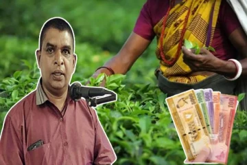 பெருந்தோட்டத் தொழிலாளர்களுக்கு 1700 ரூபாய் சம்பளம் கிடைப்பது சந்தேகம் : சோ.ஸ்ரீதரன் சுட்டிக்காட்டு