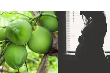 இளநீர் கேட்ட கர்ப்பிணி மனைவி.. தென்னை மரம் ஏறிய கணவர் - நொடியில் நேர்ந்த பயங்கர சம்பவம்!