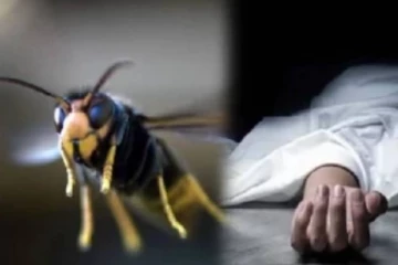 குளவிக் கொட்டுக்கு இலக்காகி 3 பிள்ளைகளின் தந்தை பலி