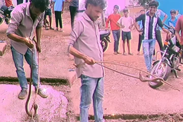 Viral Video: படமெடுத்து நின்ற பாம்பு! ஒற்றை கம்பை வைத்து பிடித்த நபர்