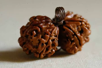 உலகிலேயே ரூ. 3 கோடி மதிப்புள்ள விலையுயர்ந்த ருத்ராட்சம்: எது தெரியுமா?