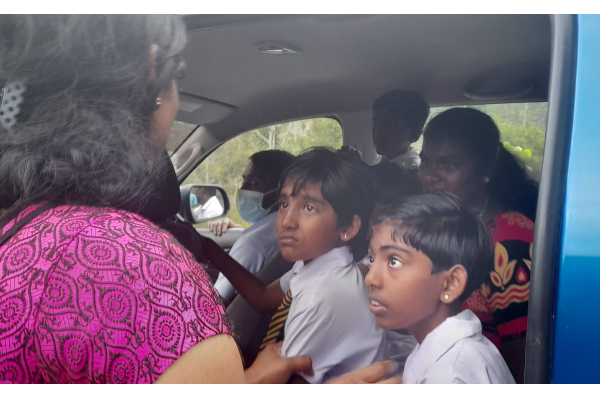 பிரபல பாடசாலை மாணவர்கள் 17 பேர் வைத்தியசாலையில் அனுமதி ! | Students Are The Target Of Wasp Stings