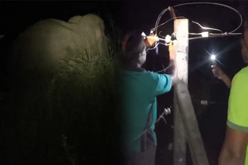 புத்தளத்தில் காட்டு யானைத் தாக்குதல்: மக்கள் கவலை