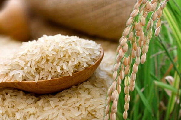 இலங்கை மக்களுக்கு அரிசியின் விலையில் சலுகை வழங்கப்படுமா! | Will People Sri Lanka Given Discount Price Rice