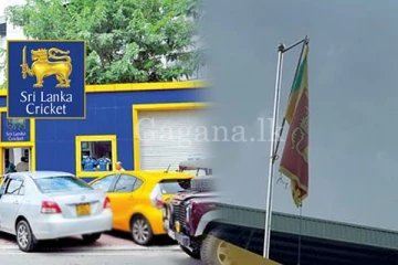 ලොස් නැතුව වියදම් කරන ක්‍රිකට් බෝඩ් එකේ සිංහ කොඩිය. - (VIDEO)