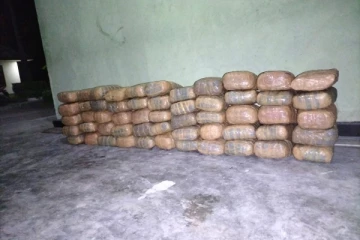 யாழில் பெருமளவு கேரளக் கஞ்சா மீட்பு! (Photos)